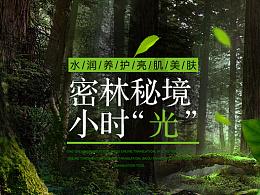 可爱啄木鸟逃脱