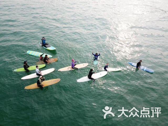 逃离野丛之森